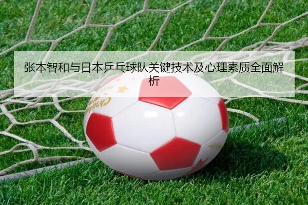 张本智和与日本乒乓球队关键技术及心理素质全面解析 - WM SPORTS